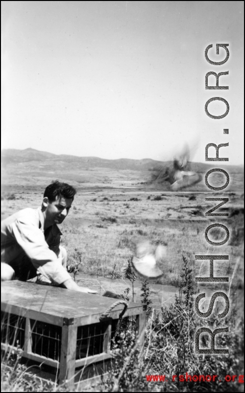 An American releasing pigeons somewhere in the vicinity of Yangkai Air Base, Yunnan Province, China.