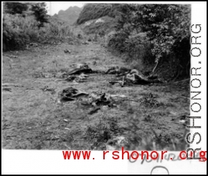 'Unidentified remains in a field.'  Southwest of Liuchow, fighters of the Fourteenth Air Force caught a cavalry column headed towards Liuchow. Japanese did not have time to bury their dead and the remains of horses and horsemen lay scattered throughout the valley.