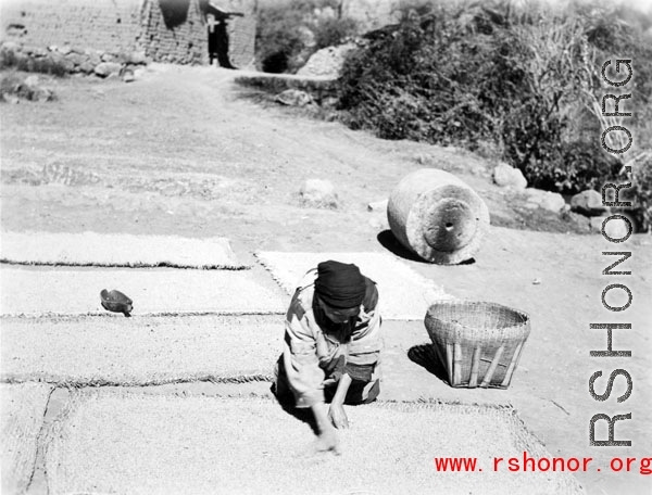 A woman drying grain in a village in Yunnan province, China. During WWII.