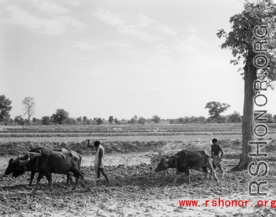 Local people plow farmland in India.