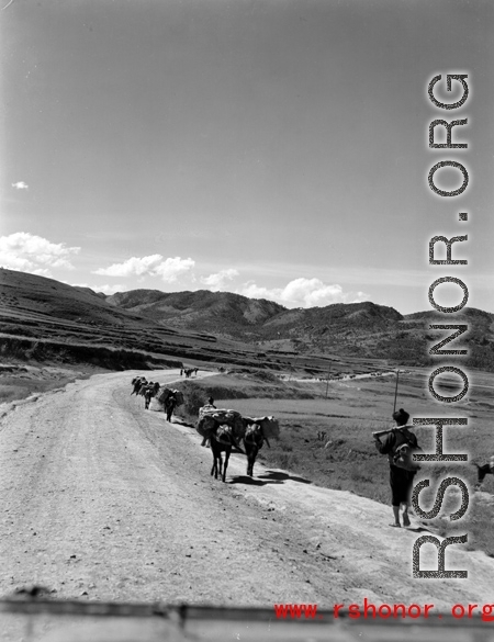 A mule train in Yunnan province, China.