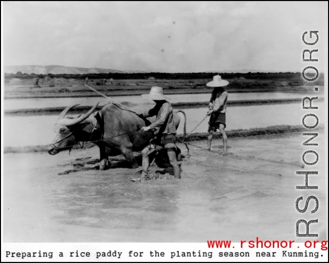 Rice farming in China, near Kunming. In the CBI.