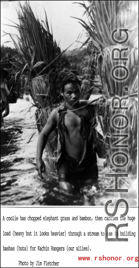 A worker has chopped elephant grand and bamboo, then carries the huge load through a stream to build bashas (huts) for allies, Kachin Rangers.  Photo from Jim Fletcher.