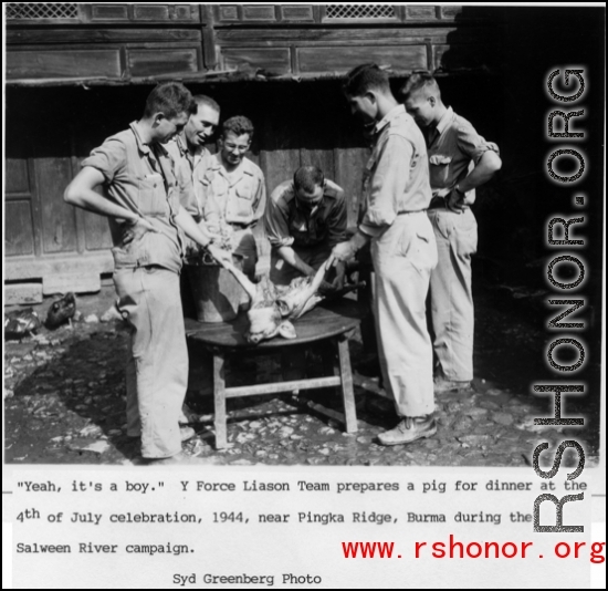 Y-Force Liaison Team prepares a pig for dinner at the 4th of July celebration, 1944, near Pingka Ridge, Burma, during the Salween River Campaign.  Photo by Syd Greenberg.