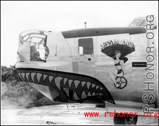 The B-24 bomber "Miss Mandy".