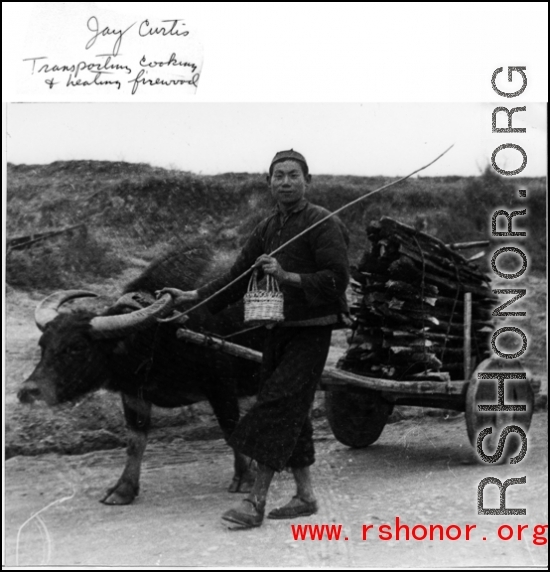 Chinese farmer with ox cart of firewood in SW China during WWII.  Photo from Jay Curtis.