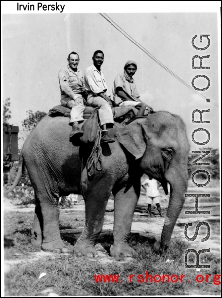 Elephant ride in India during WWII.  Photo from Irvin Persky.