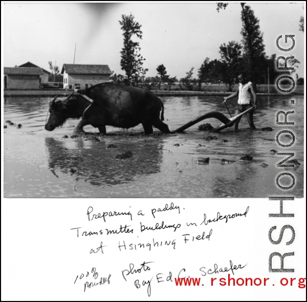 A Chinese farmer plows at rice paddy at Hsinching during WWII, with station transmitter buildings in the background.  Photo from Ed. C. Schaefer.