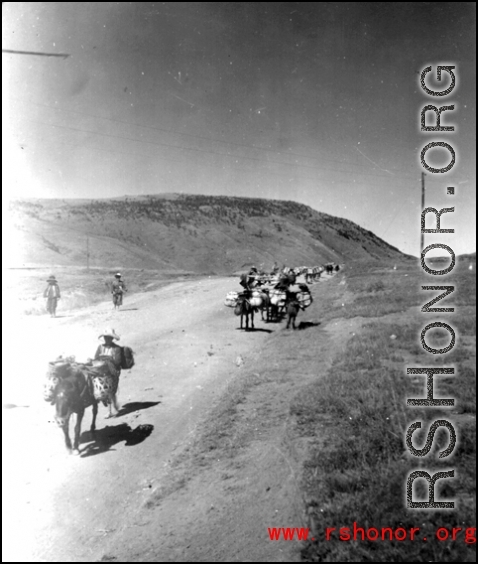 Mule or donkey trains in Yunnan province, probably in the Yangkai area.  From the collection of Frank Bates.