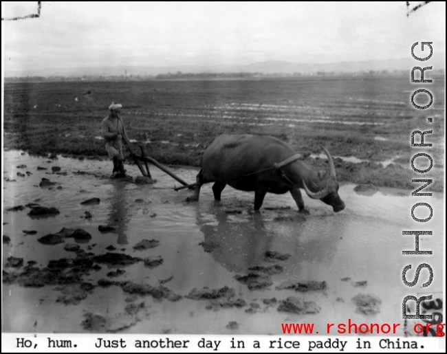 Farming in China. In the CBI.