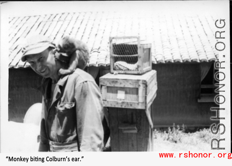 "Monkey biting Colburn's ear." In Yunnan province, China, during WWII.