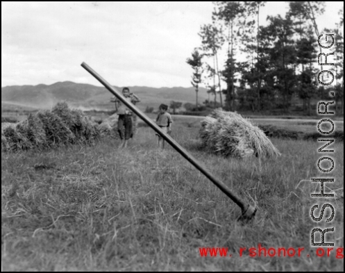 "Rice paddy at the foot of the hill from our barracks area, Yangkai, China 1944."