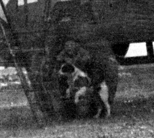 There are at least four people working on the plane, one on the ladder, two standing in the bomb-bay, and one sitting against the wheel holding a dog, which can be just made out.