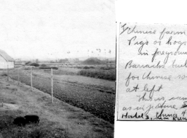 Farm near Hostel #3, Kunming, China, 1944.