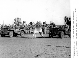 Rodeo in Karachi, 1943, benefits for a leper hospital.  Photo from William B. Bowman. Detachment of the 21st Signal Photo-Mail Co. 