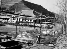 Wool drying at a farm in northern China, in a loess soil region. During WWII.  Image provided by Dorothy Yuen Leuba.