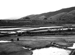 Rural farming countryside with rice paddies in China, probably in Yunnan province. During WWII.