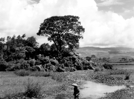 A rural person in the Chinese countryside in Yunnan province, wading through a pond.