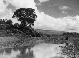 Local scenery in China: A pond at Yangkai. During WWII.