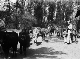 GI carrying a camera entertains interest boys at Yangkai village. During WWII.