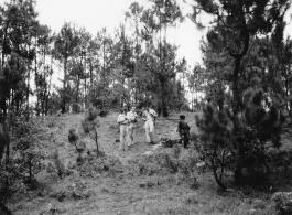 GIs adventuring among pines at Yangkai air base during WWII.