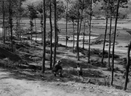 GI explorations of the hostel area at Yangkai air base during WWII: A GI interacts with a child in a pine grove.