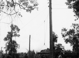 GIs moving logs using spar tree in Burma.  During WWII.  797th Engineer Forestry Company.