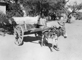 Man with donkey cart in Burma or India.  Near the 797th Engineer Forestry Company.  During WWII.