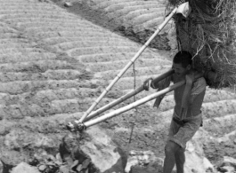 A farmer shoulders straw in China during WWII.