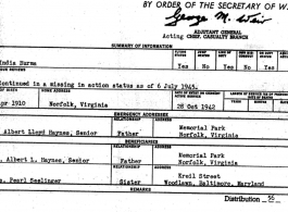 Individual Deceased Personnel File (IDPF) for Albert L. Haynes, MIA, China.