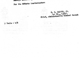 Individual Deceased Personnel File (IDPF) for Albert L. Haynes, MIA, China.