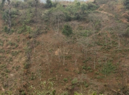 Images from January 13, 2008 search for an MIA site in Tian'e county, Guangxi province.  Carrol D. Gregory and another American were lost at a site called "Tungloa" on February 7, 1945, and we sought out this site.