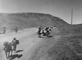 A mule train in Yunnan province, China.