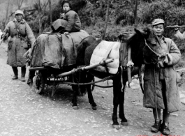 Refugees fleeing during the evacuation before the Japanese Ichigo advance in 1944, in Guangxi province.