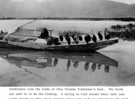 Cormorants line edge of small fishing boat in China, likely in Yunnan, near Kunming. During WWII.  Photo from H. V. Herbert.