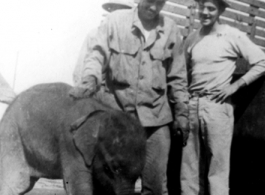 GIs with a baby elephant in the CBI.