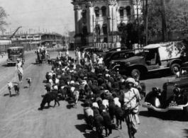 Goats being herded in Calcutta, India, during WWII.