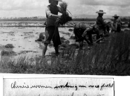 Rural life near Kunming, 1945.