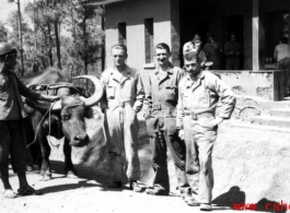 GIs and local farmer with ox cart at barracks area in Yangkai, Spring 1945. Unknown, Bill Bryan, Richard Hill, Clayton E. "Fred" Nash, Aspinwall, Gilliland, Alexander, Chisholm.