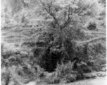 Water wheel near Kunming, May 1945.