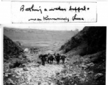 Water buffalo in water near Kunming, and pack horses climbing steep path above Camp Schiel, during WWII.