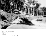Village near Shinig, Burma, during WWII.  Photo from Joseph R. Covert.