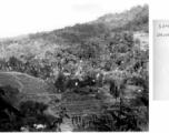 Airdrop parachutes in trees in SW China or Burma during WWII.  This one of a set of images provided by Lt. Col. Charles E. Mason