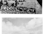 Workers in SW China working to build an airfield, and a parked American fighter plane.  Images provided by Emery and Beth Vrana. 