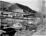 Wool drying at a farm in northern China, in a loess soil region. During WWII.  Image provided by Dorothy Yuen Leuba.