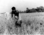 Man working in farm field in India.  Local images provided to Ex-CBI Roundup by "P. Noel" showing local people and scenes around Misamari, India.    In the CBI during WWII.