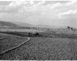 Farmers in Yunnan province, most likely near Yangkai, during WWII.