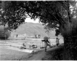 Women farming at Yangkai, and a woman walking on village path. During WWII.