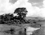 A rural person in the Chinese countryside in Yunnan province, wading through a pond.