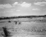 An American GI and local kids in a grain field in Yunnan province, China. During WWII.